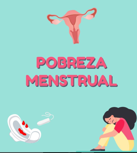 Arquivo:Pobreza menstrual.png