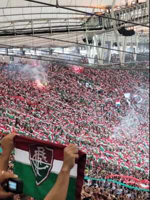 Visão de Dentro da Torcida do Fluminense na Final da Libertadores de 2023