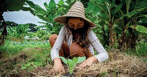 Agroecologia Brasil de Fato.jpg