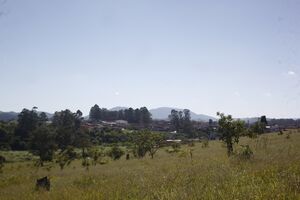 Terreno do Sítio Arqueológico Anita Garibaldi .jpg